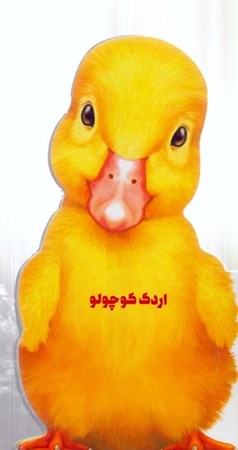 نمایش جزئیات برای  اردک کوچولو تصویر  اردک کوچولو