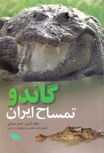 تصویر  گاندو تمساح ایران