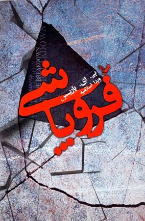 نمایش جزئیات برای  فروپاشی تصویر  فروپاشی