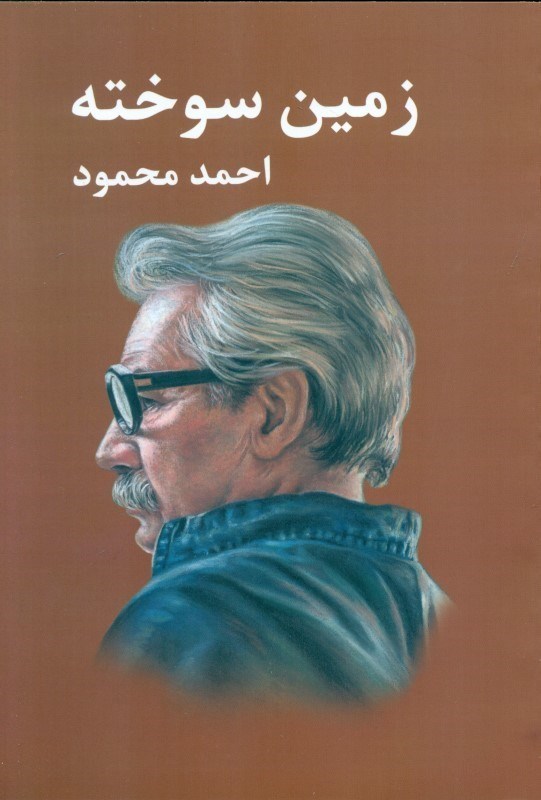 نمایش جزئیات برای  زمین سوخته تصویر  زمین سوخته