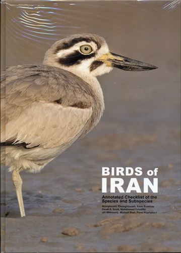 تصویر  پرندگان ایران Birds of Iran