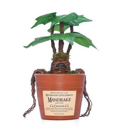 نمایش جزئیات برای  بشقاب سرامیکی طرح گلبرگ قطر 16 تصویر  بشقاب سرامیکی طرح گلبرگ قطر 16