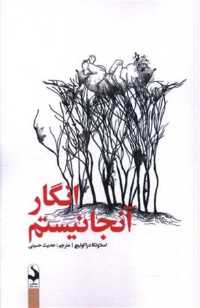 نمایش جزئیات برای  انگار آن جا نیستم تصویر  انگار آن جا نیستم