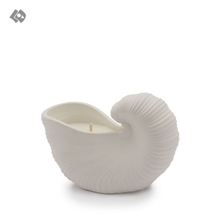 نمایش جزئیات برای  شمع گوش ماهی (CO458) تصویر  شمع گوش ماهی (CO458)