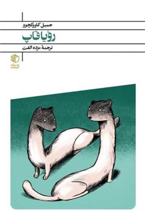 نمایش جزئیات برای  رویاقاپ تصویر  رویاقاپ