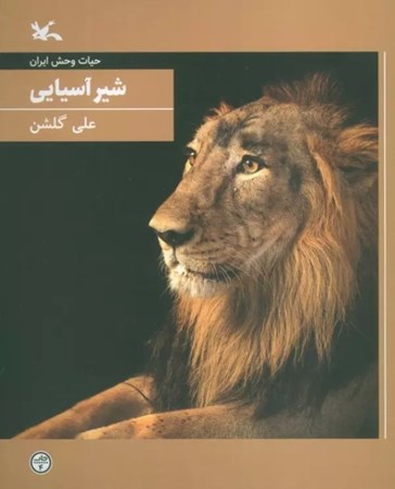 نمایش جزئیات برای  شیر آسیایی (حیات وحش ایران) تصویر  شیر آسیایی (حیات وحش ایران)