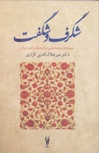 تصویر  شگرف و شگفت (جستارها و نوشتارهایی در فرهنگ و ادب ایران)