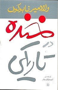 نمایش جزئیات برای  خنده در تاریکی تصویر  خنده در تاریکی