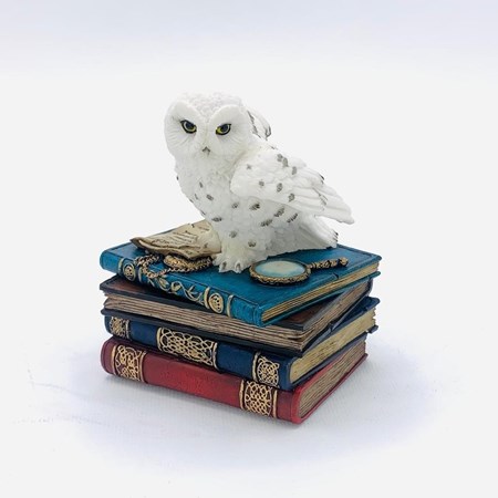 نمایش جزئیات برای  جعبه با جغد سفید WU75511aa تصویر  جعبه با جغد سفید WU75511aa