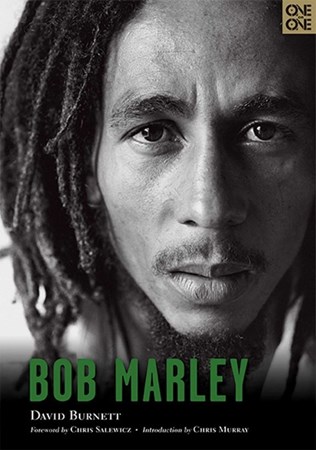 تصویر  Bob Marley One on One