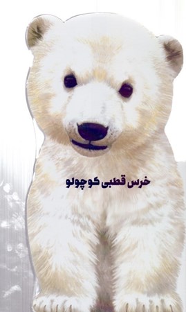تصویر  خرس قطبی کوچولو