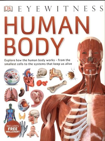 تصویر  Human Body