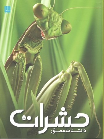 تصویر  دانشنامه مصور حشرات