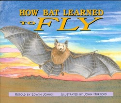 تصویر  How Bat Learned to Fly