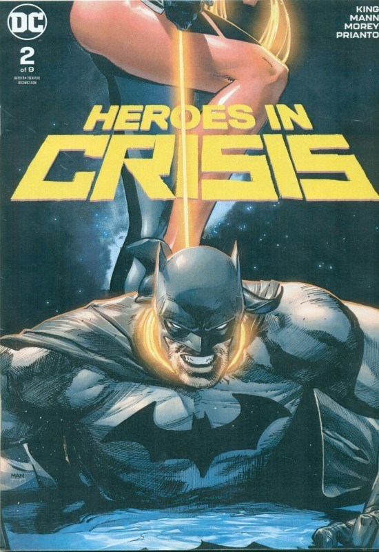 تصویر  Heroes In Crisis 2