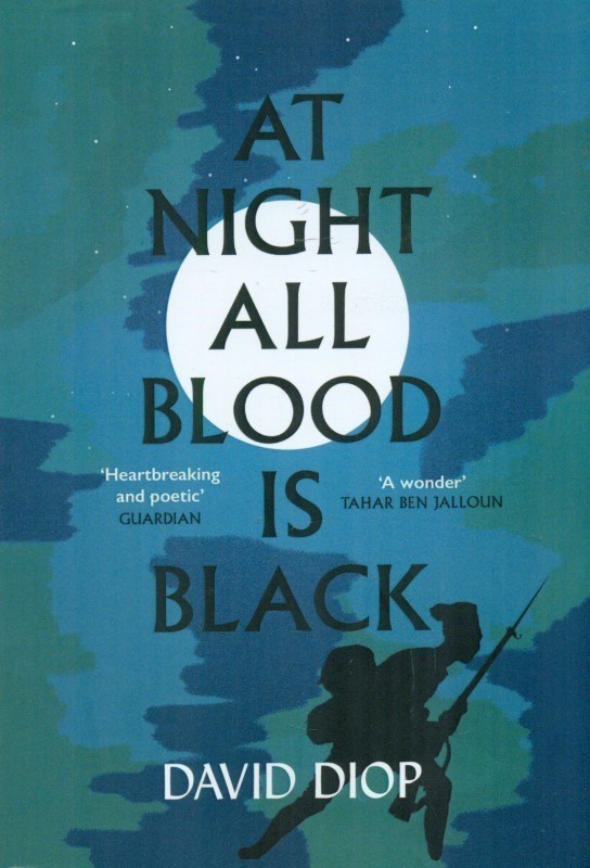 تصویر  At Night All Blood is Black