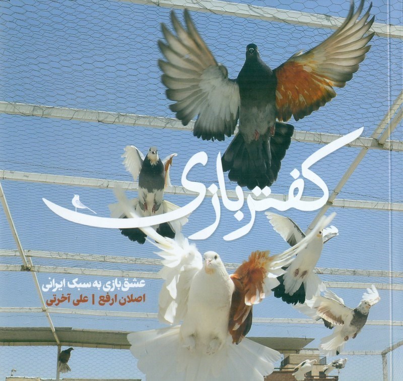 تصویر  کفتر بازی (عشق بازی به سبک ایرانی)