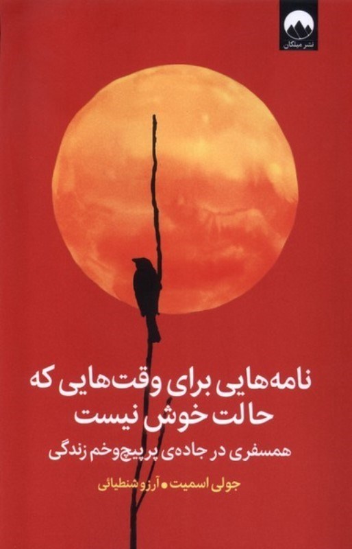 تصویر  نامه هایی برای وقت هایی که حالت خوش نیست (همسفری در جاده پر پیچ و خم زندگی)