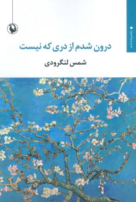 تصویر  درون شدم از دری که نیست