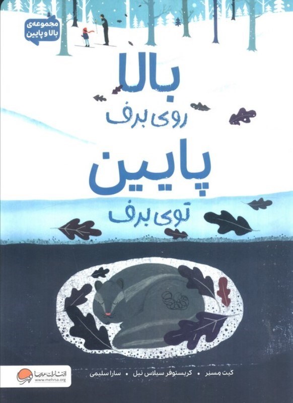 تصویر  بالا روی برف پایین توی برف (بالا و پایین)