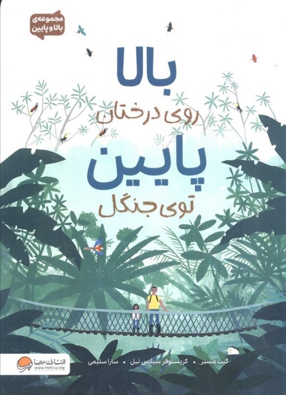 تصویر  بالا روی درختان پایین توی جنگل (بالا و پایین)