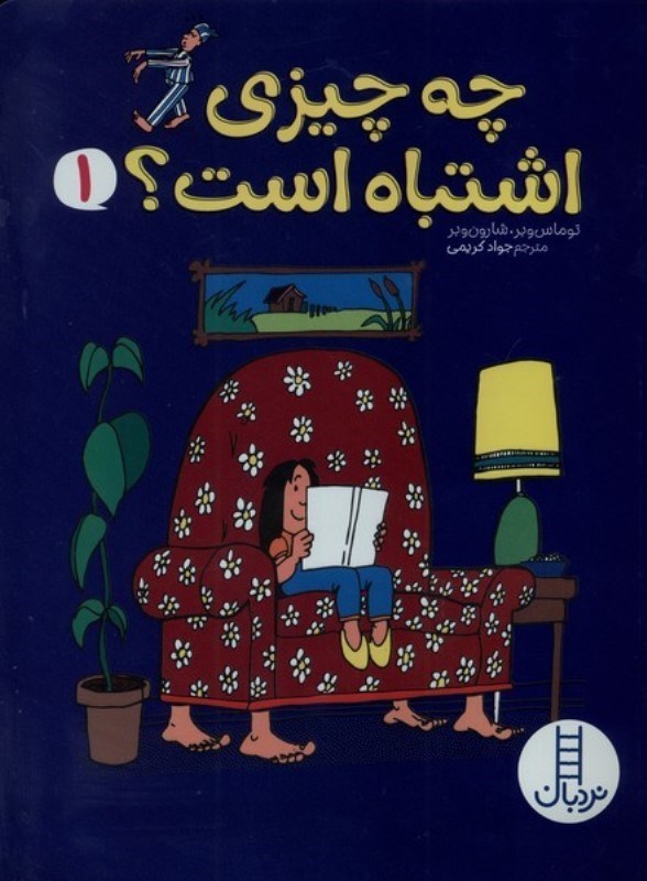 تصویر  چه چیزی اشتباه است 1