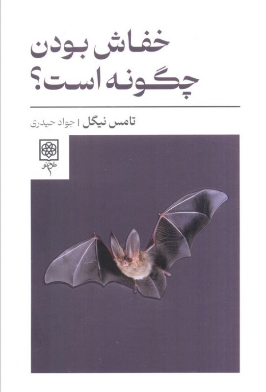 تصویر  خفاش بودن چگونه است