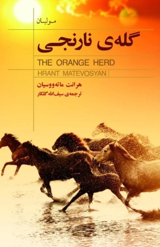 تصویر  گله نارنجی