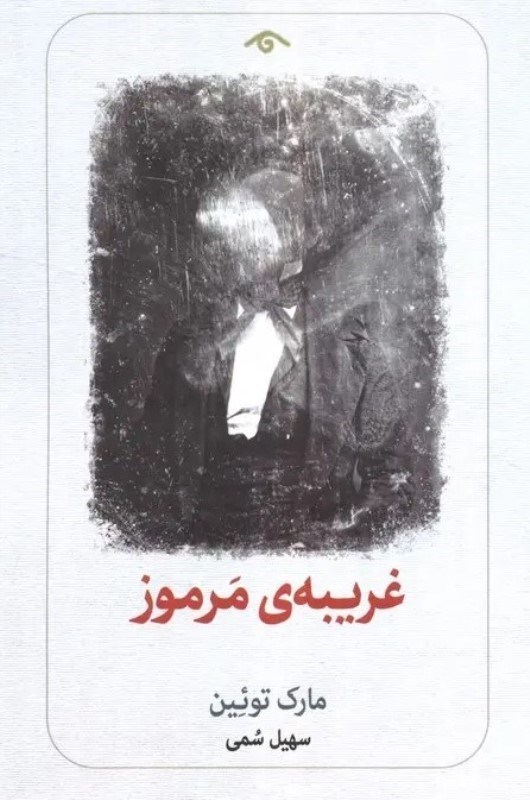 تصویر  غریبه مرموز