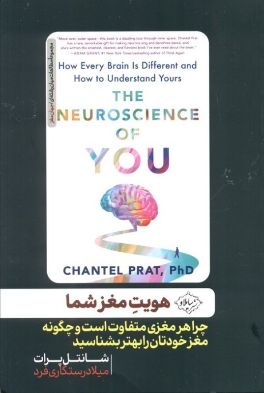 تصویر  هویت مغز شما (چرا هر مغزی متفاوت است و چگونه مغز خودتان را بهتر بشناسید)
