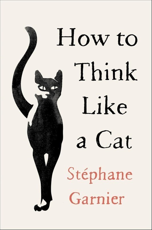 تصویر  How to Think Like a Cat