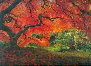 تصویر  پازل (16310) japanesegarden