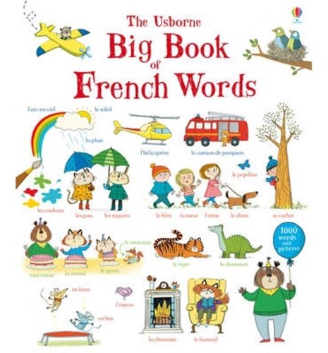 تصویر  The usborne big book of french words