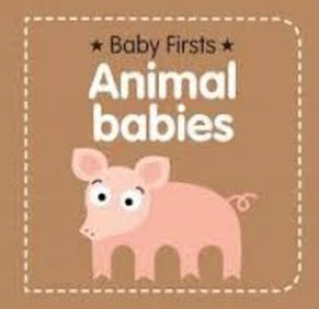 تصویر  Animal babies