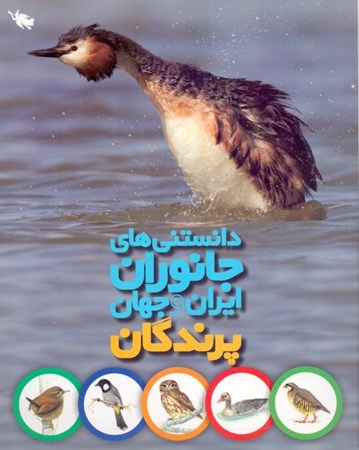 تصویر  پرندگان (دانستنی‌های جانوران ایران و جهان)