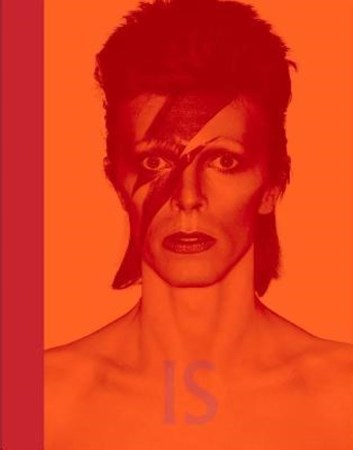 تصویر  David Bowie Is
