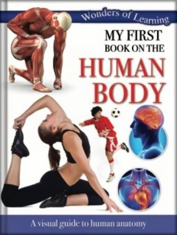 تصویر  Human Body