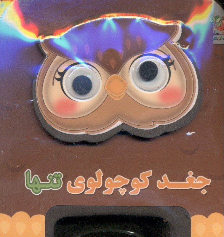تصویر  جغد کوچولو تنها (کتاب فومی چشمی)