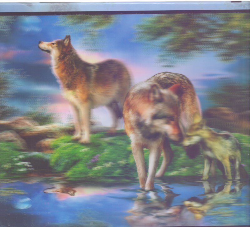 تصویر  Super 3d wolves